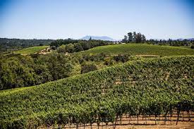 Iron Horse Vineyards - Russian River Valley